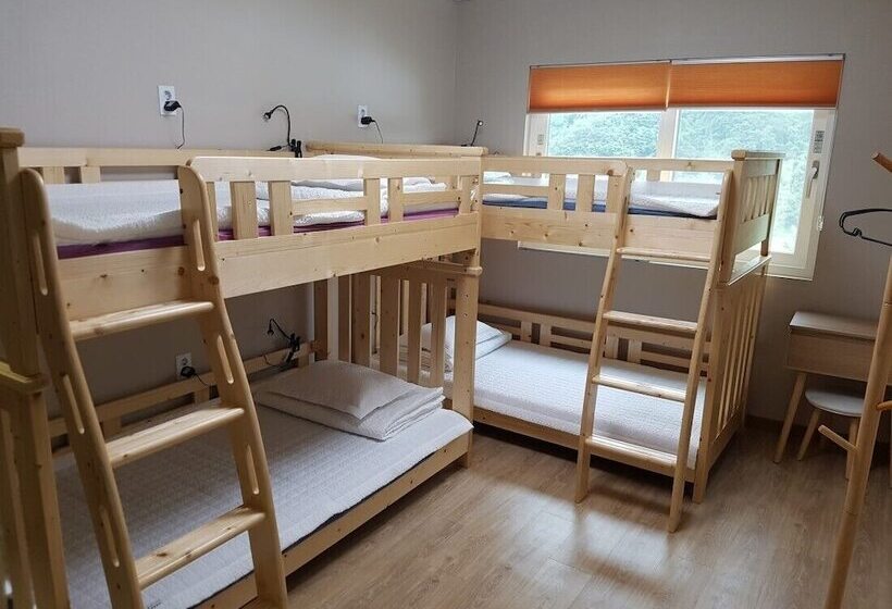 بنسيون Dodam Guesthouse   Hostel