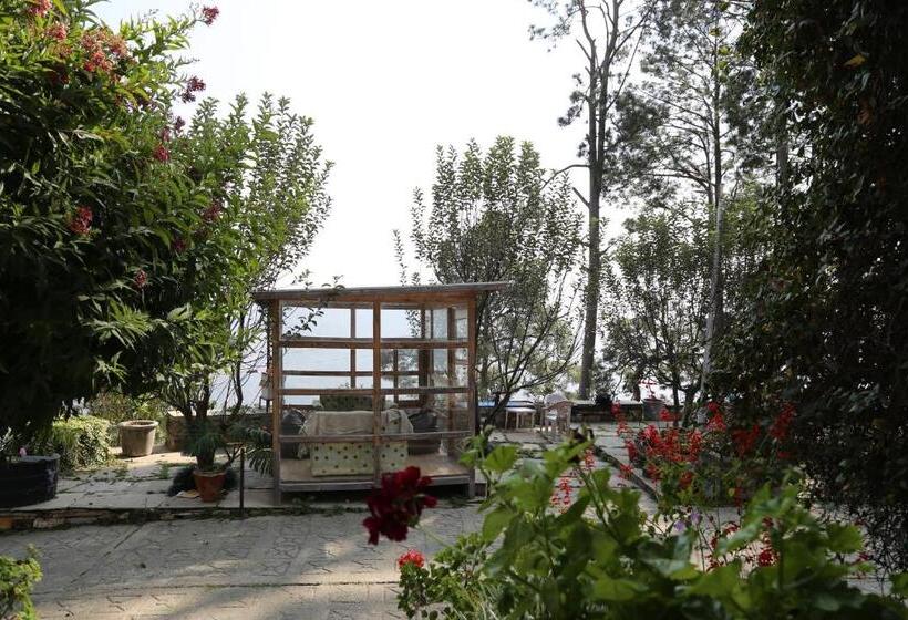 פנסיון Deodar Homestay