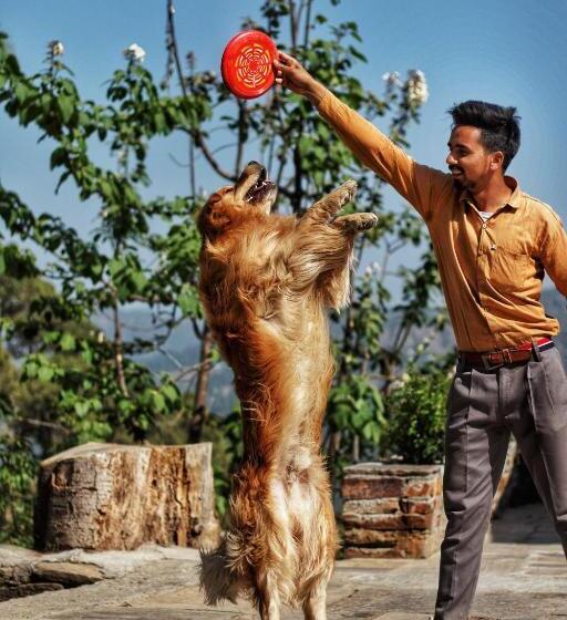 بنسيون Deodar Homestay