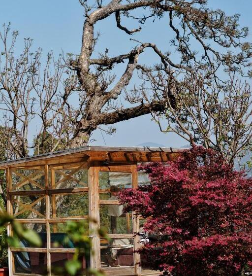 بنسيون Deodar Homestay