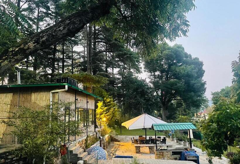 بنسيون Deodar Homestay