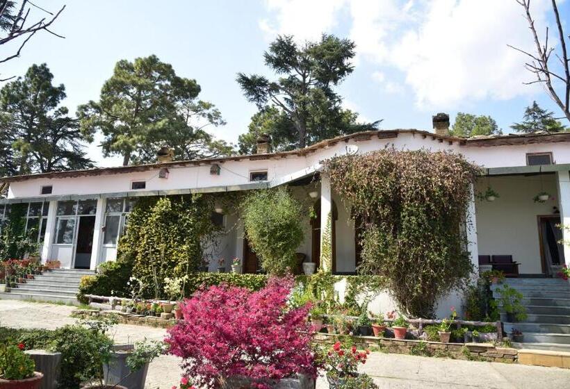 بنسيون Deodar Homestay