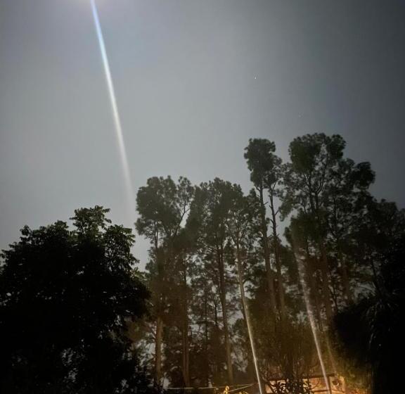 بنسيون Deodar Homestay