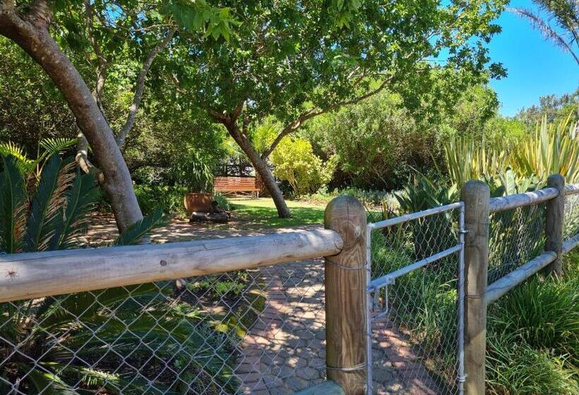 پانسیون Kaya Cabhozi At 306 On Heightsroad