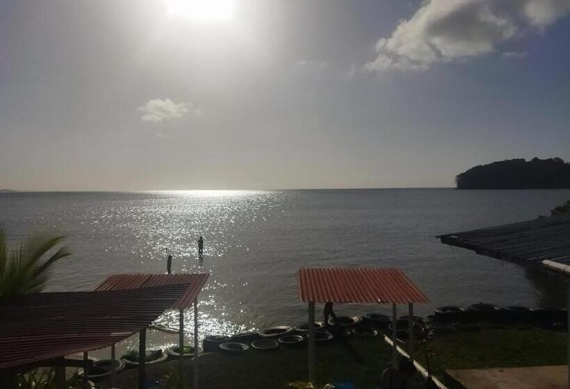 膳宿费 Ofiuras Hostal