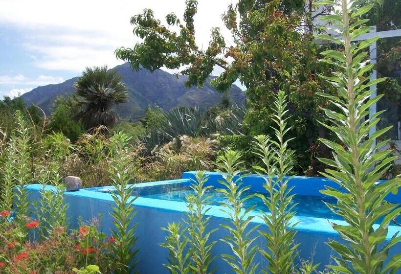 هاستل Hosteria Aura Azul