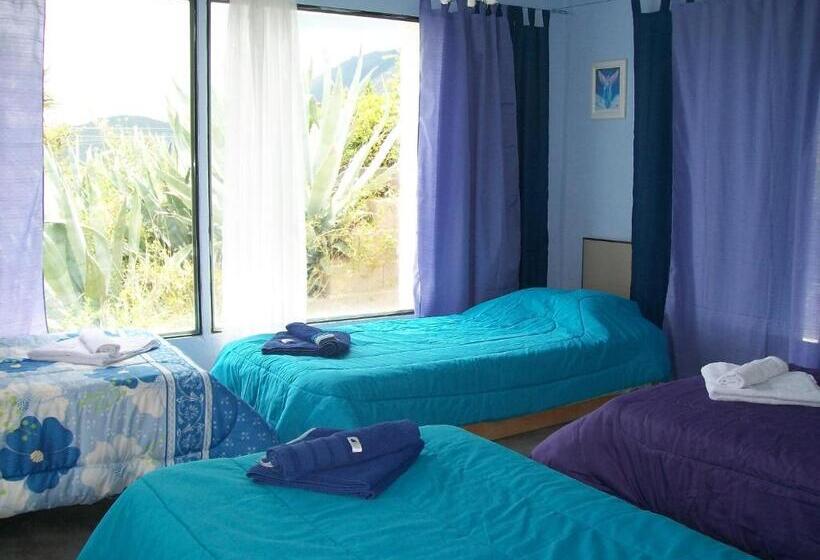 هاستل Hosteria Aura Azul