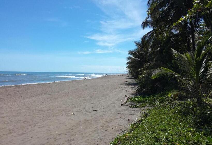 Apartahotel & Gym Rondon