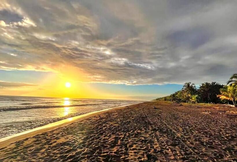 Apartahotel & Gym Rondon