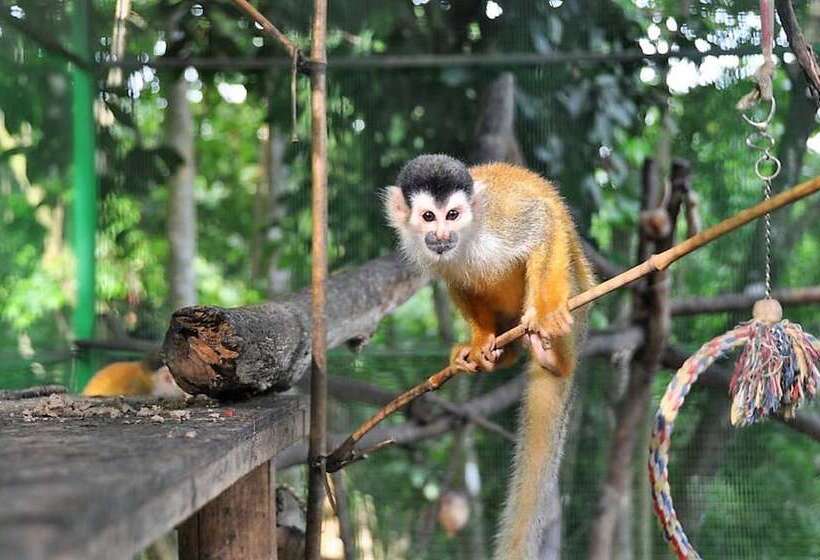 مبيت وإفطار Nature's Edge Boutique