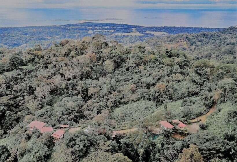 مبيت وإفطار Nature's Edge Boutique