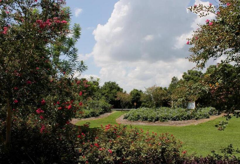 Heron Cay Lakeview Bed & Breakfast