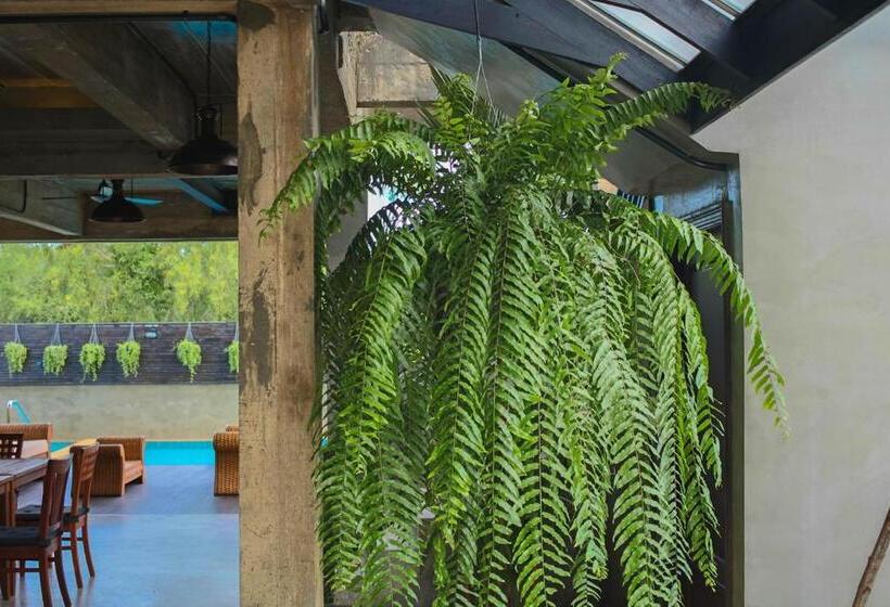 פנסיון Goodhope Villa