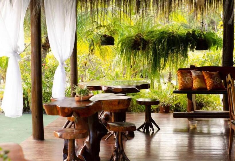 פנסיון Nossa Senhora Aparecida