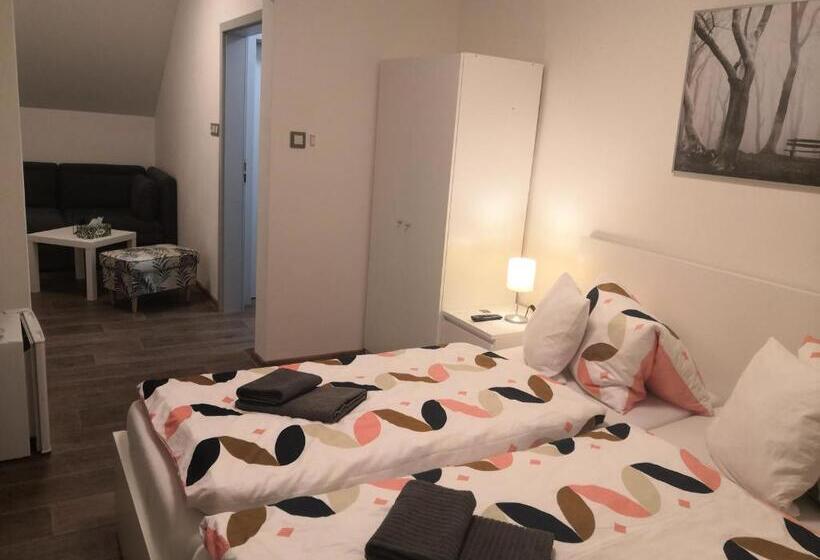 膳宿费 Penzion Cafe Na Svahu