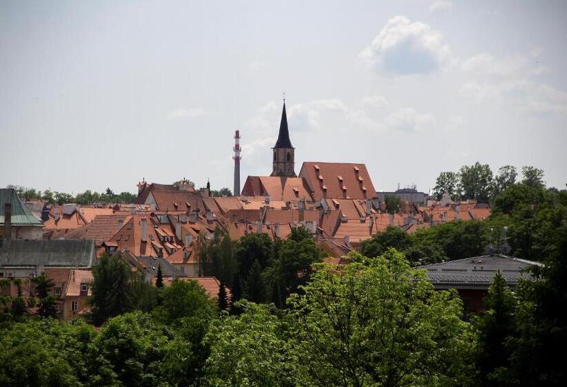 膳宿费 Penzion Cafe Na Svahu