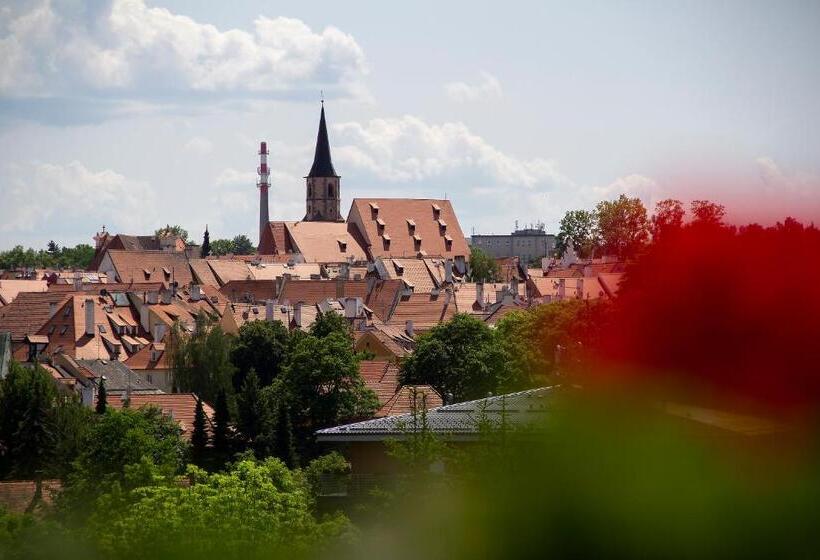 膳宿费 Penzion Cafe Na Svahu