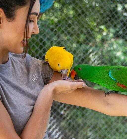 Пансион Eco Luar Boutique