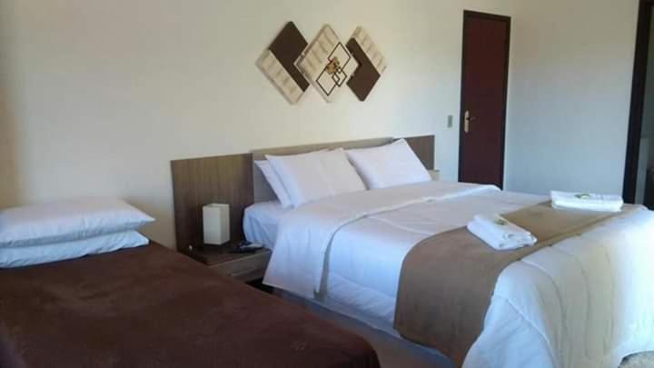 Пансион Pousada Sitio Do Visconde