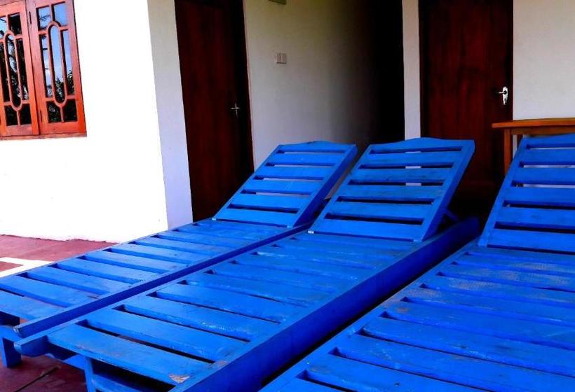 بنسيون The Calm Rest