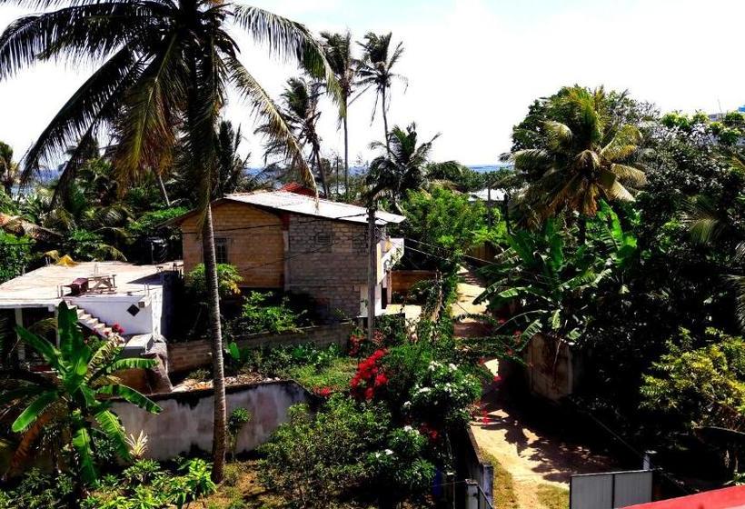 بنسيون The Calm Rest