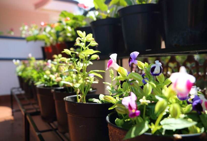 膳宿费 Villa Santa Maria