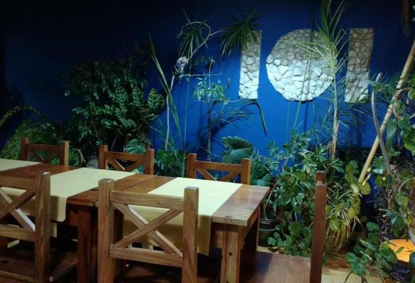 هاستل El Mundo Interior