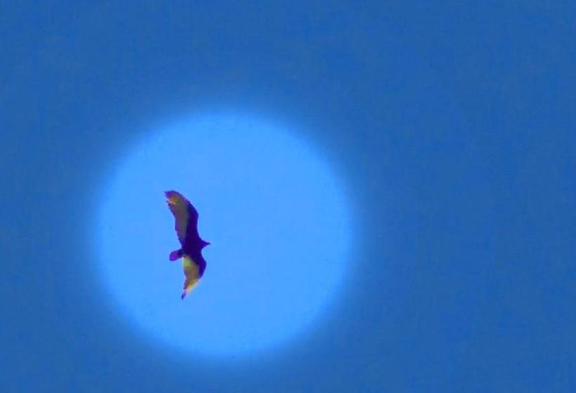 هاستل El Mundo Interior