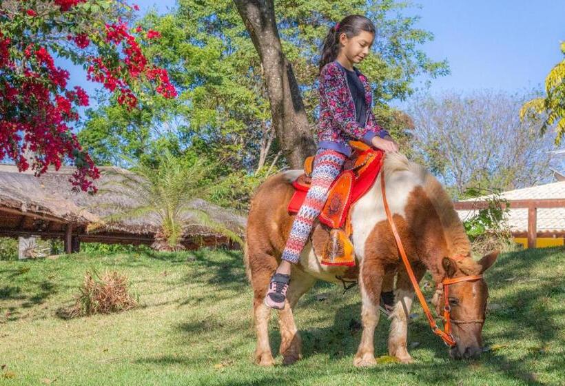 فندق Fazenda Cachoeiras Serra Da Bodoquena