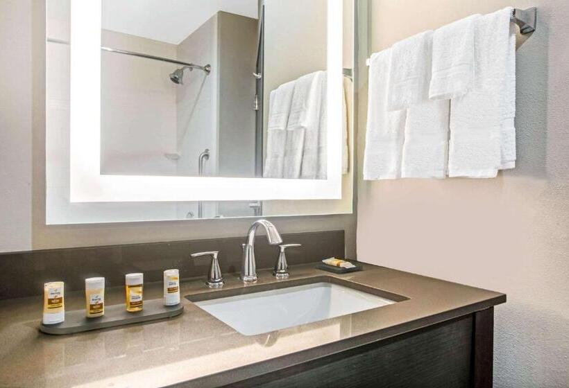 فندق La Quinta By Wyndham Ponca City