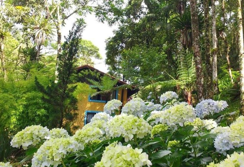 膳宿费 Havilá Arara Azul