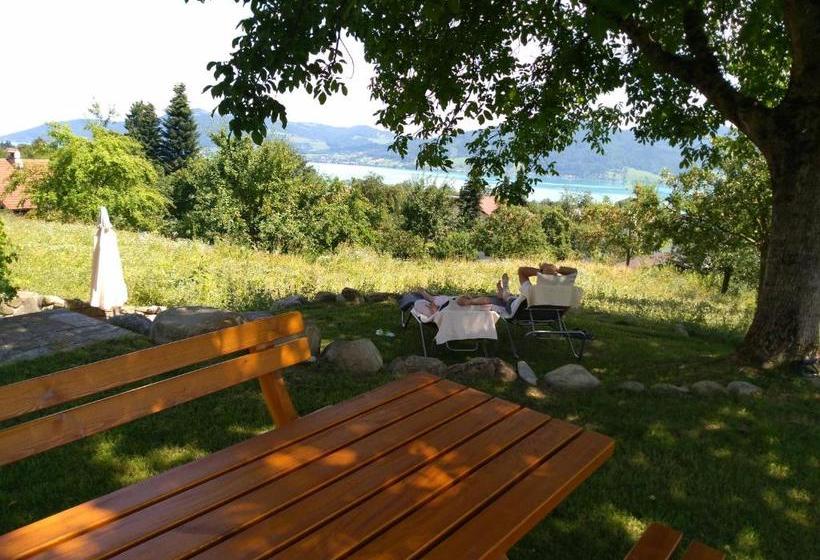 ペンション Attersee Gartenvilla