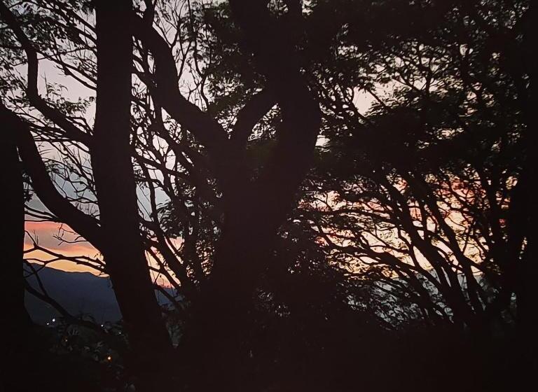 Пансион Los Tarcos Guest House