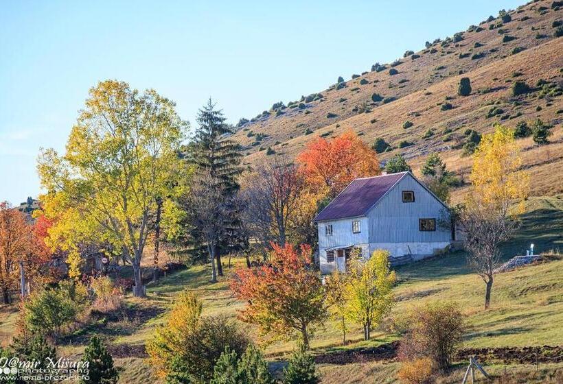 پانسیون Pansion Renata