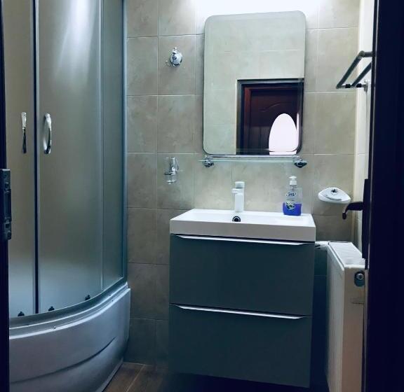 بنسيون Pinul Negru 2