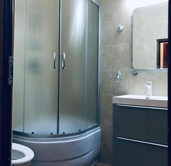 بنسيون Pinul Negru 2