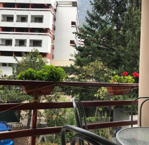 بنسيون Pinul Negru 2