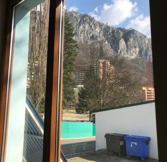 بنسيون Pinul Negru 2