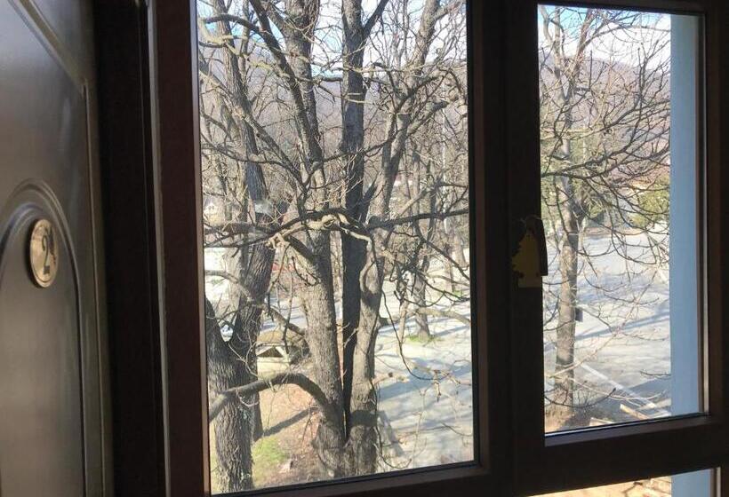 بنسيون Pinul Negru 2