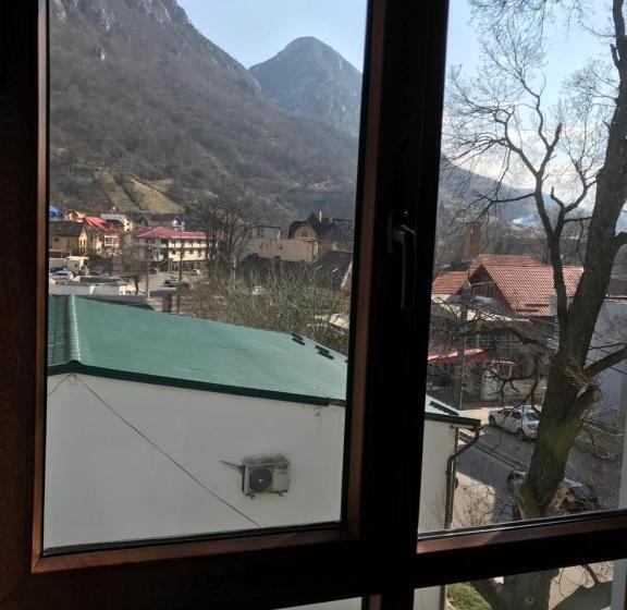 بنسيون Pinul Negru 2