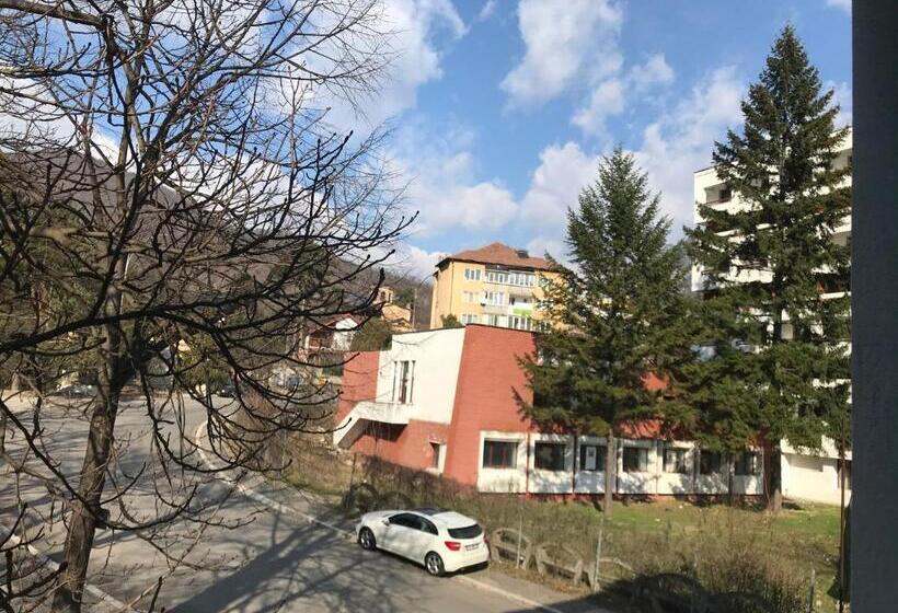 بنسيون Pinul Negru 2