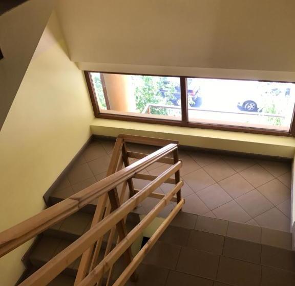 بنسيون Pinul Negru 2