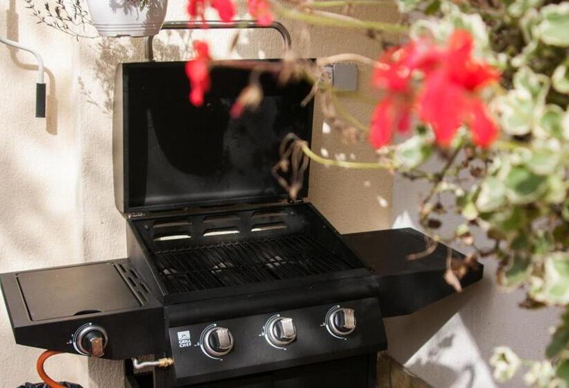 ペンション Vila Cu Flori