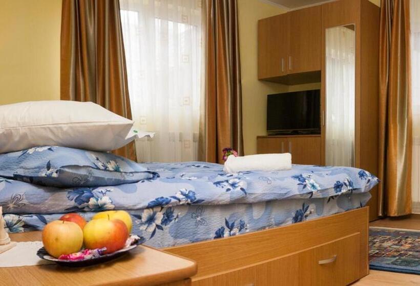 ペンション Vila Cu Flori