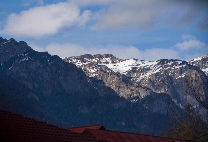 ペンション Vila Cu Flori