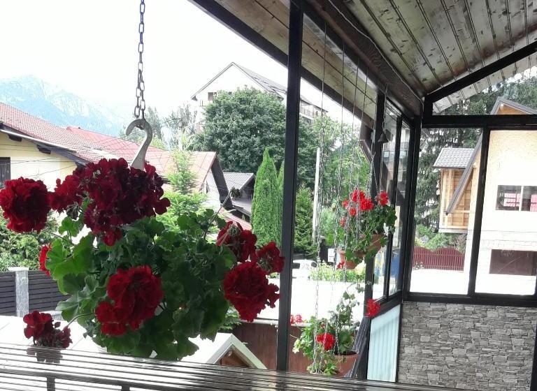 ペンション Vila Cu Flori