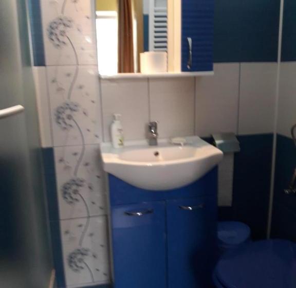 ペンション Vila Cu Flori