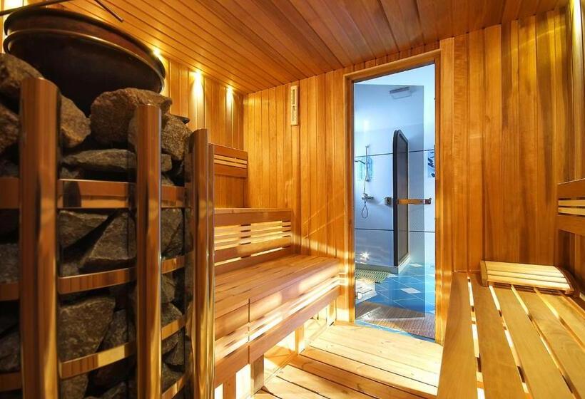 פנסיון Vila Moldavia Class