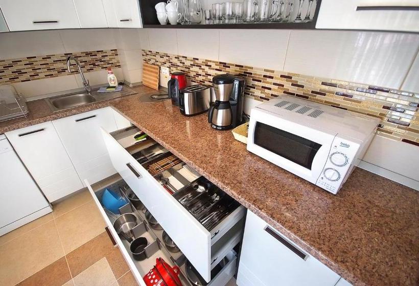 פנסיון Vila Moldavia Class