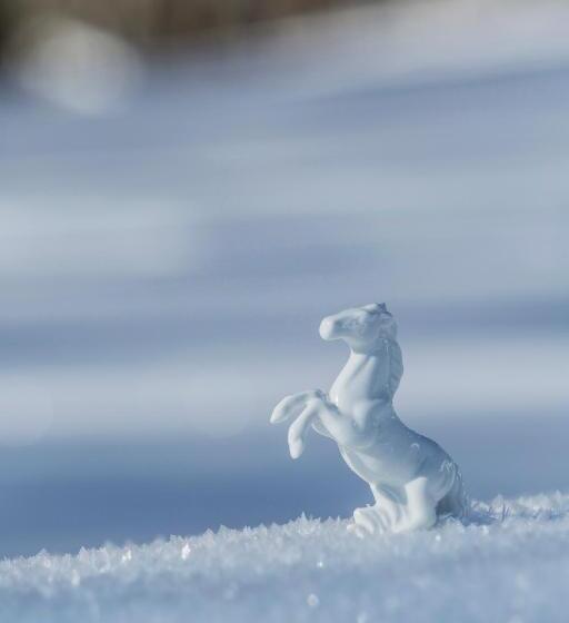 Romantik Residenz   Dependance